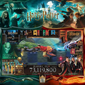 Máquina de Pinball Harry Potter Wizard Jersey Jack