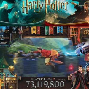 Máquina de Pinball Harry Potter Wizard Jersey Jack