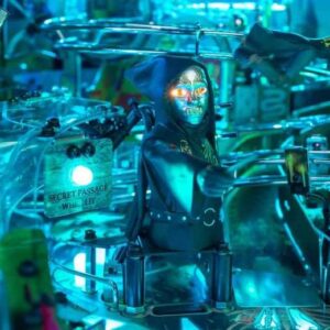 Máquina de Pinball Harry Potter Wizard Jersey Jack